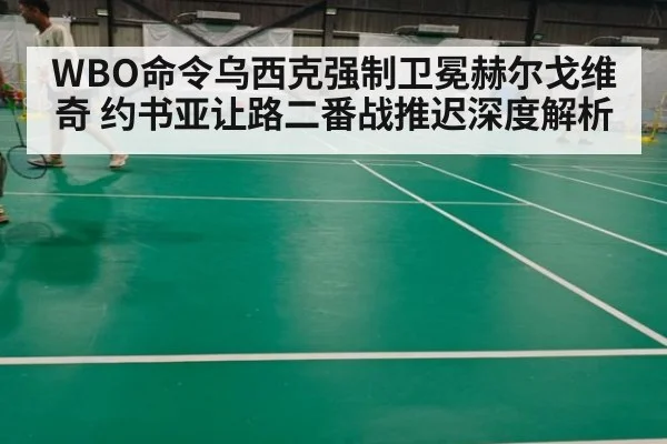 WBO命令乌西克强制卫冕赫尔戈维奇 约书亚让路二番战推迟深度解析