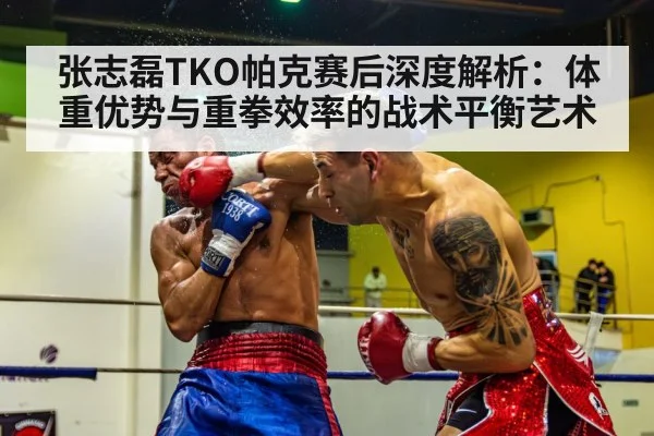 张志磊TKO帕克赛后深度解析：体重优势与重拳效率的战术平衡艺术